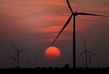 Windfarm in Texas - Delcia Lopez/The Monitor via AP/dpa