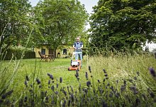 Gartenarbeit - Christin Klose/dpa-tmn