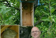 badke_jurgen_wespen_presse2 - BUND Lemgo