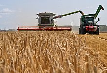 Landwirtschaftliche Erzeugerpreise weiter r&uuml;ckl&auml;ufig - (c) Copyright 2023, dpa (www.dpa.de). Alle Rechte vorbehalten
