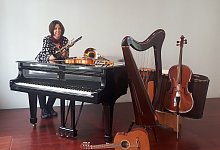 DT Insturmententour Johannes Brahms Musikschule - Johannes Brahms Musikschule