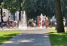 shared-image - Jost Wolf