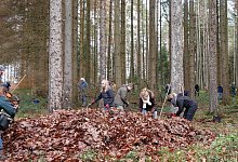 LE Umwelttag Stadtwalderneuerung - Stadt Lemgo