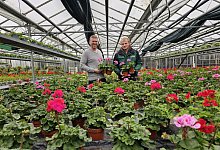 20240426_150645 - Astrid Sewing