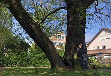 Schlosspark Stietencron - Sven Kienscherf