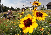 Tag der Faulheit - Bernhard Preuß