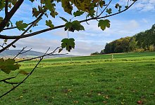 Biesterberg - Nadine Uphoff