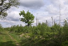 img_2169 - Jens Reddeker