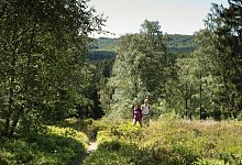 Wanderweg Blaubeerroute - Teutoburger-Wald-Tourismus, Andreas Hub