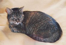 20231102_151803 - Petra Mohnke-Br&ouml;der