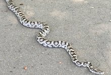 img_20240730_122743 - 1 - Claudia Schlothauer