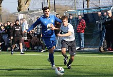 belle-schlangen - paul cohen