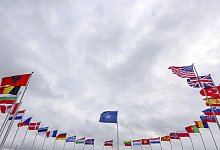 Nato - Olivier Matthys