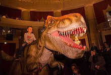 nsf_5961 - Die lebendige Dinosaurier Show