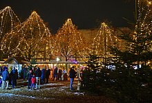 winterwelt-lemgo-1 - Nicole Ellerbrake