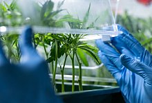 Das ändert sich 2024 - dpa