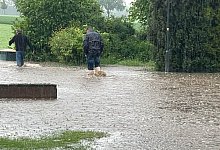 Wettbreden - 1 - 1 - Sabrina G&ouml;rder