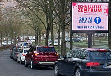 Impfschlange - Thomas Liebold