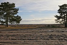 IMG_5060 - Archivfoto: Vera Gerstendorf-Welle