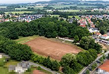 pinneichen-1 - Torben Gocke