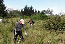 bergwaldprojekt-velmerstot_-andreas-bathe1 - Andreas Bathe