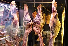 dry-ager - Axel B&uuml;rger