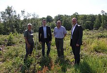 Delignit - Landesverband Lippe