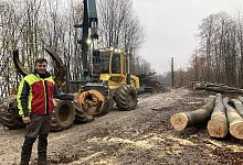 SL Fällarbeiten Leopoldstal - Cordula Gröne