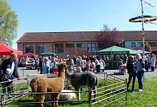 Lothe - Rudi Rudolph