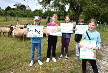 kap-leo-schafe-plakate-12 - Karin Prignitz