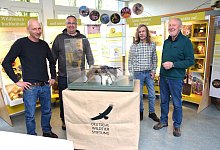 kap-oh-hss-wildbienenausstellung-6 - Karin Prignitz