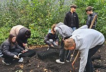Schulwald Gesamtschule - Nadine Uphoff