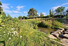 Auenpark - Nadine Uphoff