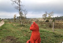 ddt_rj_strauch_wildkatze - Stadt Oerlinghausen