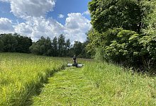 M&auml;hen - Uphoff Gartengestaltung