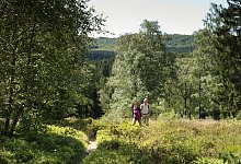 Blaubeerroute - Teutoburger-Wald-Tourismus, Andreas Hub