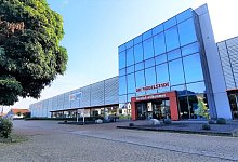 microsoftteams-image-37 - David Schellenberg