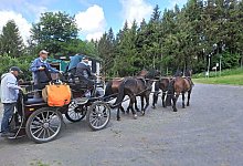 nl_ba_mertenvierspanner09 - Reinhard Merten