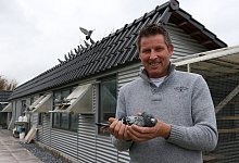 Brieftauben - Alexandra Schaller