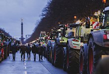 Bauern-Proteste in Berlin - picture alliance / photothek