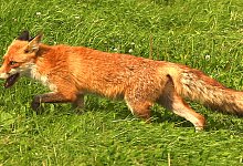 nex2014-08-22-01 - Robin J&auml;hne