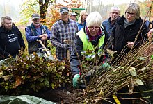 Pflanzaktion - Nicole Ellebrake