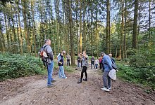 20240919_175133 - Astrid Sewing