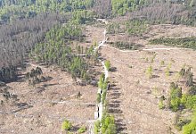 Luftbild devastierte Fl&auml;chen bei Berlebeck - Fotorechte: Stephan Prinz zur Lippe
