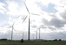 windrader-belle-jost-wolf-p1350897 - Archivfoto: Jost Wolf