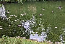 pxl_20240603_135138652mp - Mechthild St&ouml;lting-H&ouml;cker