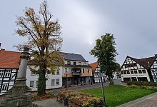 20241014_151708 - Marianne Schwarzer