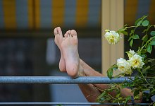 Hitzewelle - picture alliance/dpa