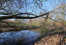 Naturschutzgebiet - Martin D&uuml;sterberg