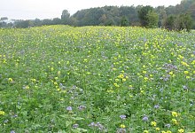 img_2502 - 1 - Stiftung Westfälische Kulturlandschaft